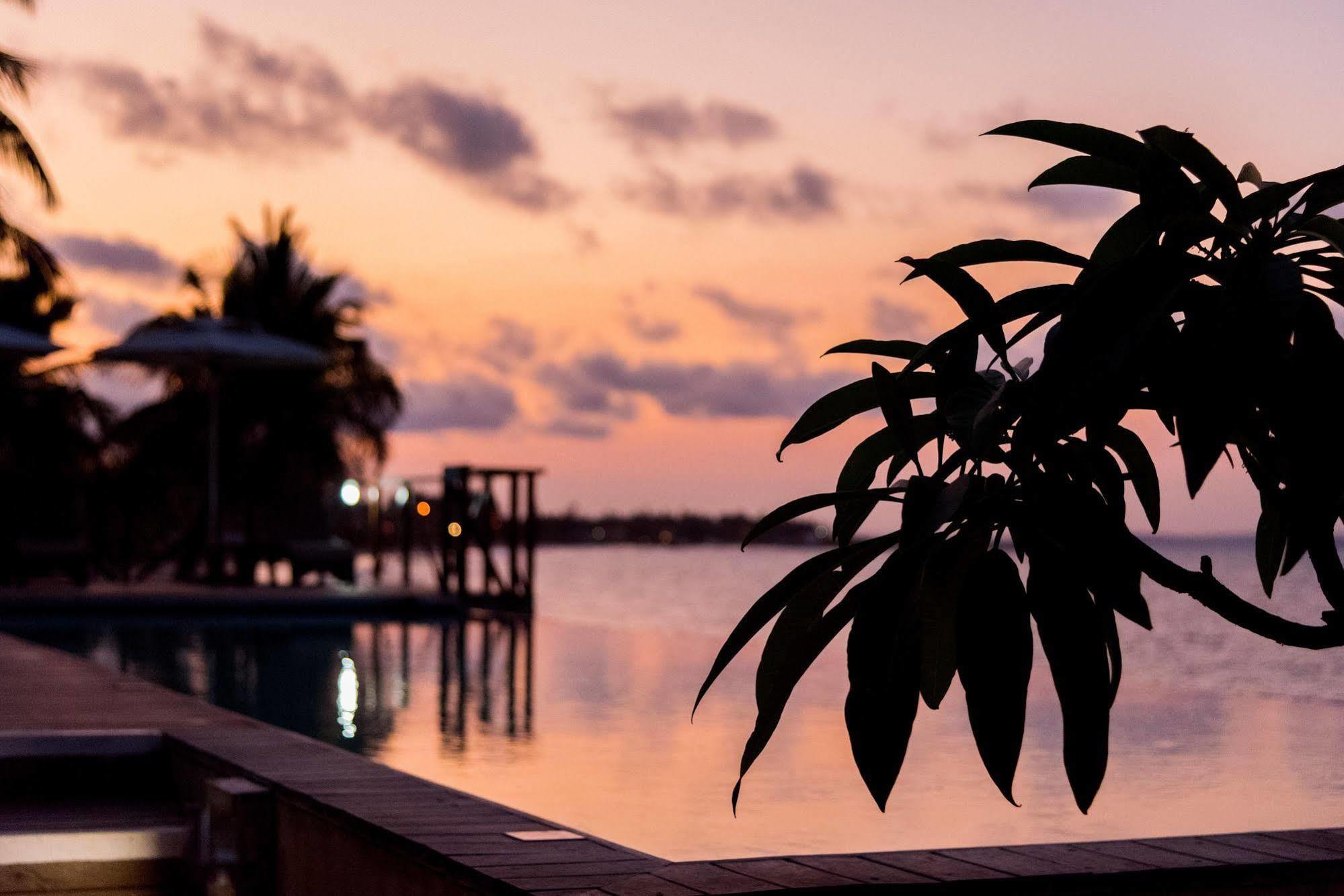 The Nautilus Pemba Hotel ภายนอก รูปภาพ